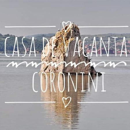 Casa De Vacanta Danube Moldova Noua Exterior foto